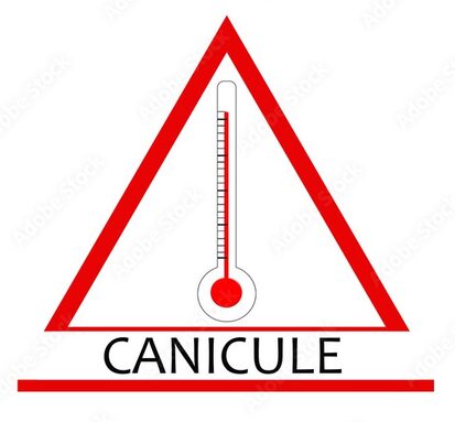 CANICULE.jpg